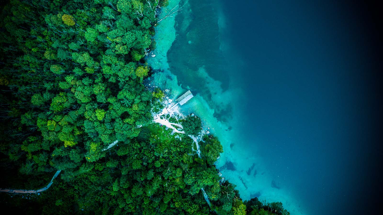 Nach nassem Frühjahr sind Wälder in Bayern sind gut gerüstet